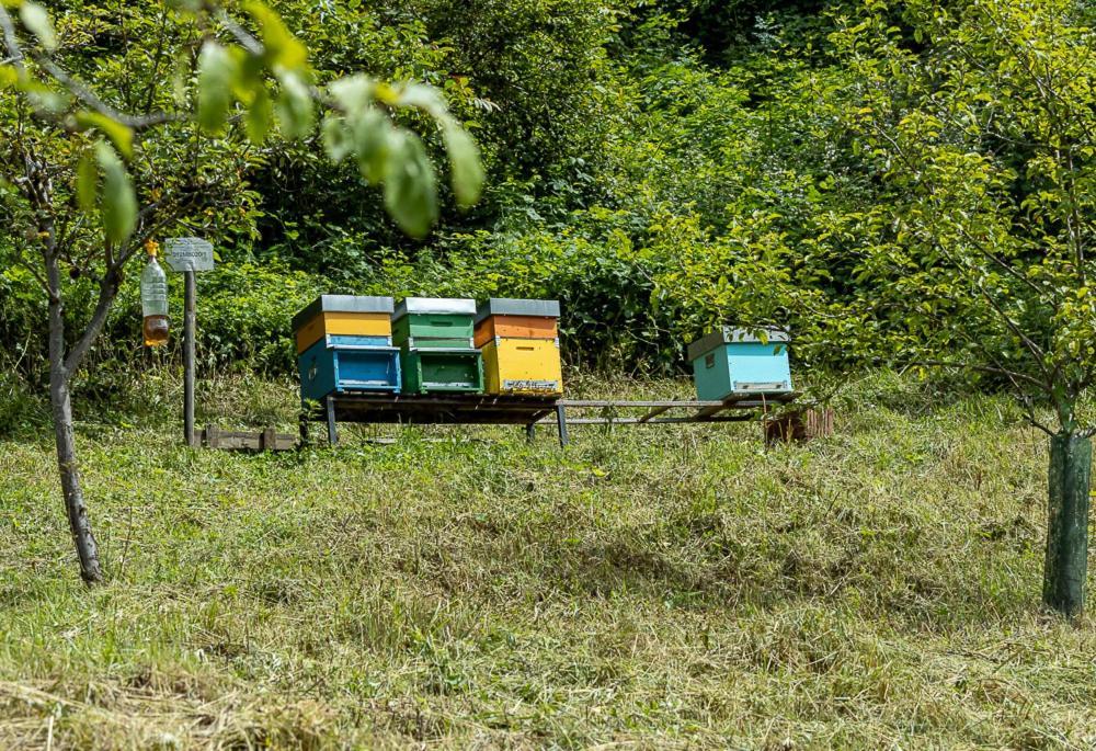 B&B I Pellegrini Della Casela Bordogna Buitenkant foto